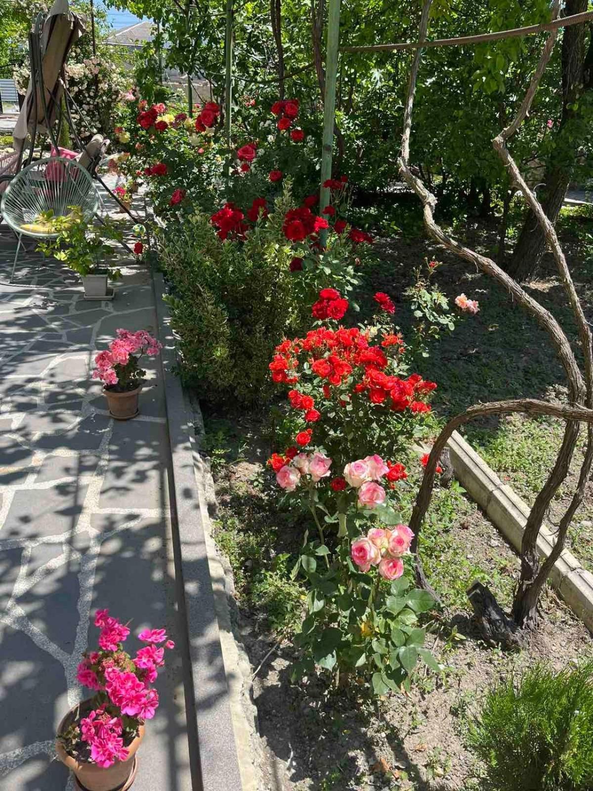Ekas Rosengarten Gori Dış mekan fotoğraf